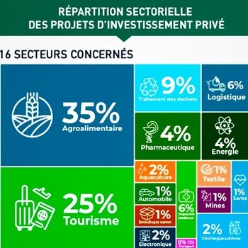 Sectoral Breakdown of Investments in Morocco