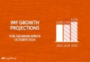 IMF Forecasts Sub-Saharan Africa to Grow by 3.6% in 2024 and 4.2% in 2025