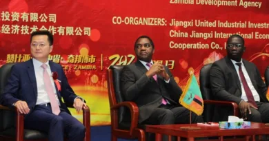 China to Pilot Lithium Battery Manufacturing in Zambia