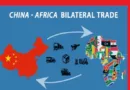 China-Africa Trade Reaches $296B in 2024, Representing 5% Annual Increase