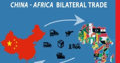 China-Africa Trade Increases by 5% in 2024