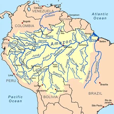 Amazon River Network and Forest System