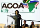 US House of Representatives Votes in Favor of AGOA Extension for Three Years