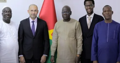 Mark Cables to Invest $215M to Build 200MW Power Plant in Burkina