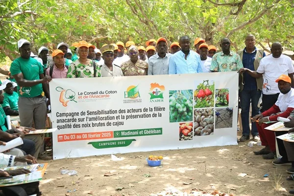 Quality Sensitization Campaign Organized by the Council of Cotton and Cashew