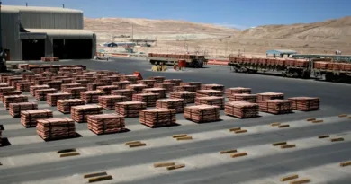 Top Copper-Producing Countries 2024