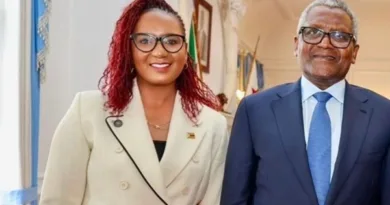 Dangote Delegation Arrives in Harare to Kick Start Cement Plant Project