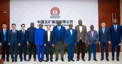 DRC Ministry of Mines Visits China to Take Advantage of Window of Opportunity