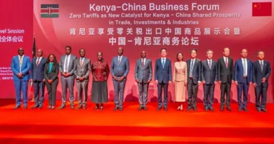 Han Zheng’s African Tour Seeks to Align China Five-Year Plan with Africa Rising