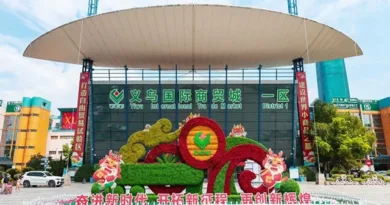 Drilling Down the 2025 China-Africa Trade Data