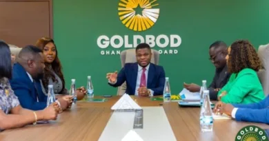 Ghana Amends Mining Code to Optimize Local Value Retention