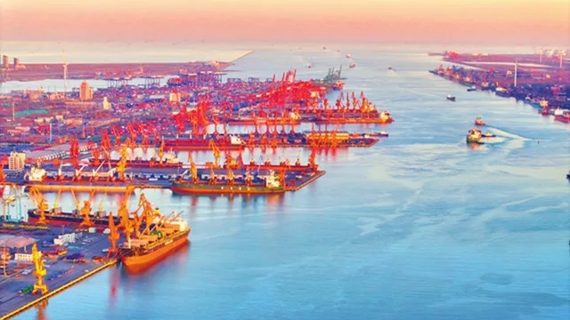 MSC Adds Weekly Shipping Service From Tianjin to South Africa