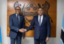 Botswana and Rwanda Can Learn From Each Other’s Meteoric Rise