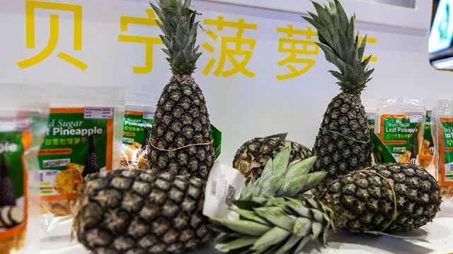 Benin's Pineapples at China International Import Expo