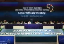South Korea and Africa Gear Up for Summit with Preparatory Meetings
