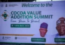 Cocoa Summit Creates Cartel for Cocoa Growers to Graduate from Bean to Brand