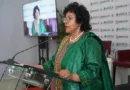 NEPAD Launches €500M Green Fund