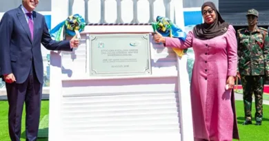 Tanzania Turns On Julius Nyerere Hydropower Plant to Become Major Electricity Exporter Tanzania Turns On Julius Nyerere Hydropower Plant to Become Major Electricity Exporter