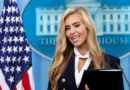 New Press Secretary Katie Zacharie Heaps Praise on Trump in View of Midterms